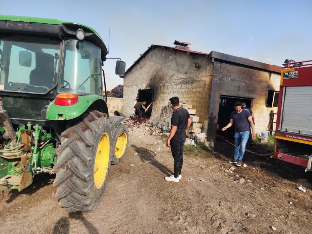 Çiftlikte yangın çıktı: 33 büyükbaş telef oldu
