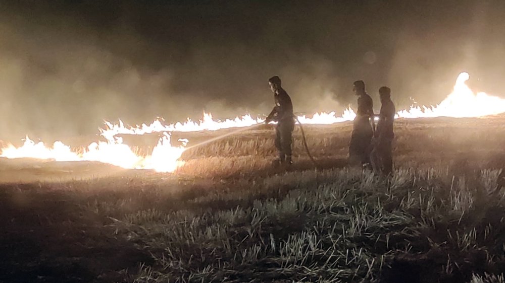 Diyarbakır'da 3 bin dönüm arazi yandı