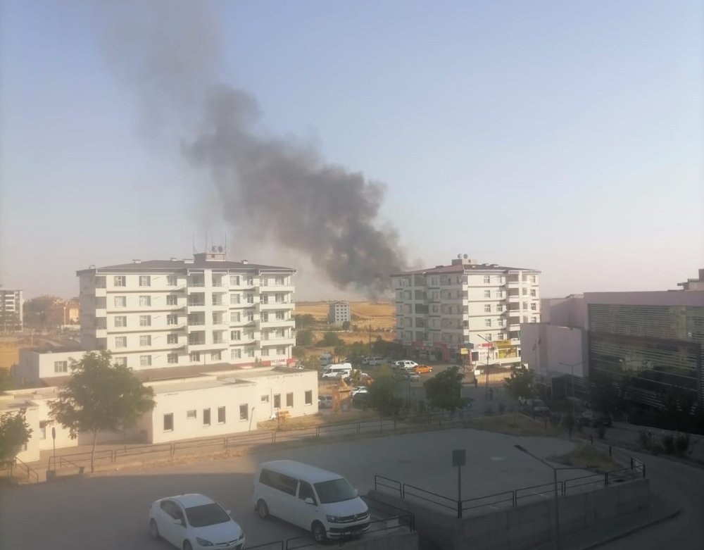 Diyarbakır'da 3 bin dönüm arazi yandı