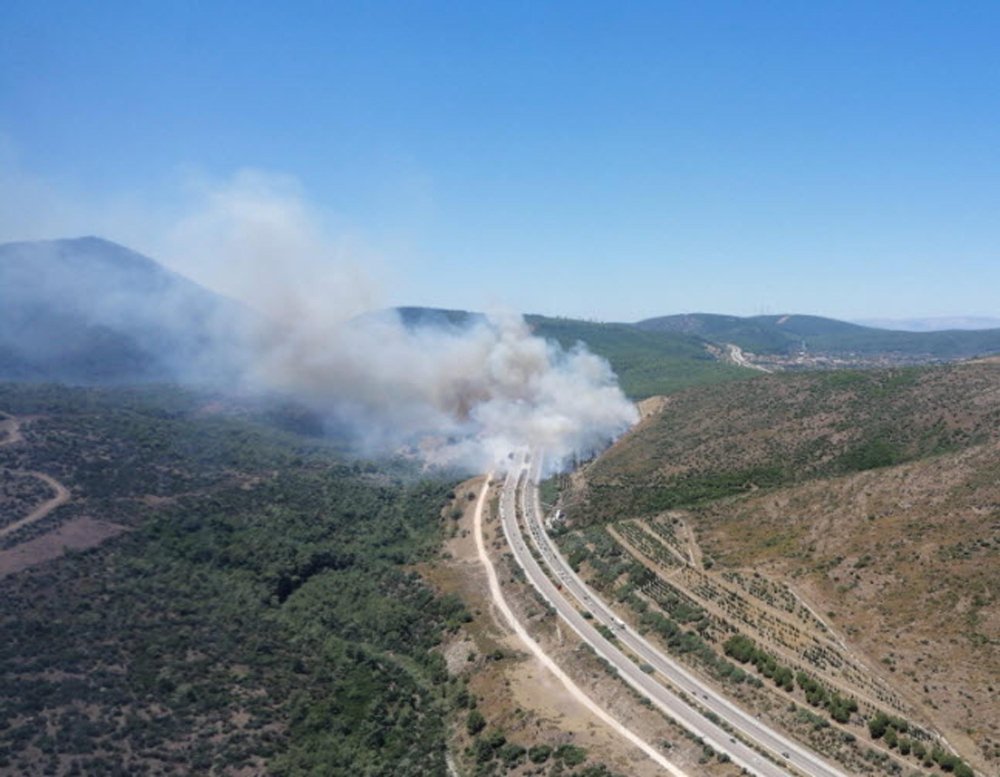 İzmir'de bir orman yangını daha çıktı