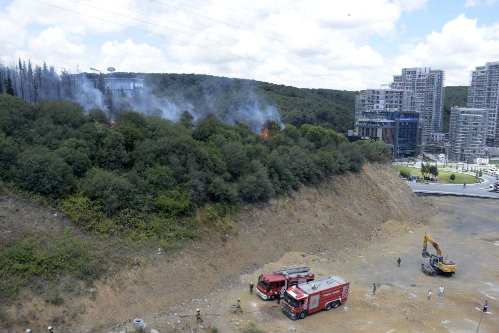 TEM Otoyolu kenarında yangın: Birçok ilçeden itfaiye ekibi sevk edildi