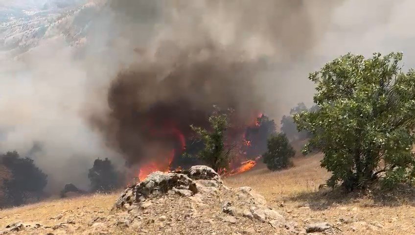 İki ilde orman yangını