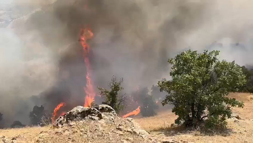 İki ilde orman yangını