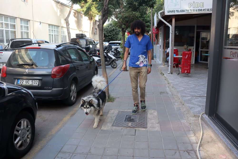 İstanbul'da kaybolan köpek, başka bir ilde ortaya çıktı