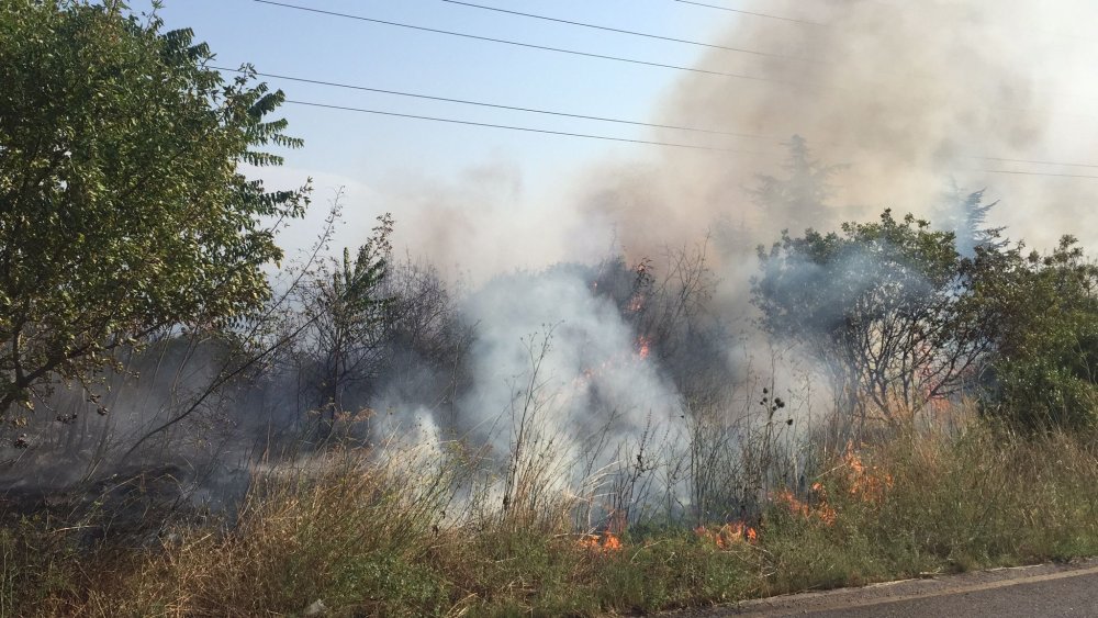 TÜBİTAK yerleşkesinde orman yangını: Dumanlar kilometrelerce uzaklıktan görüldü