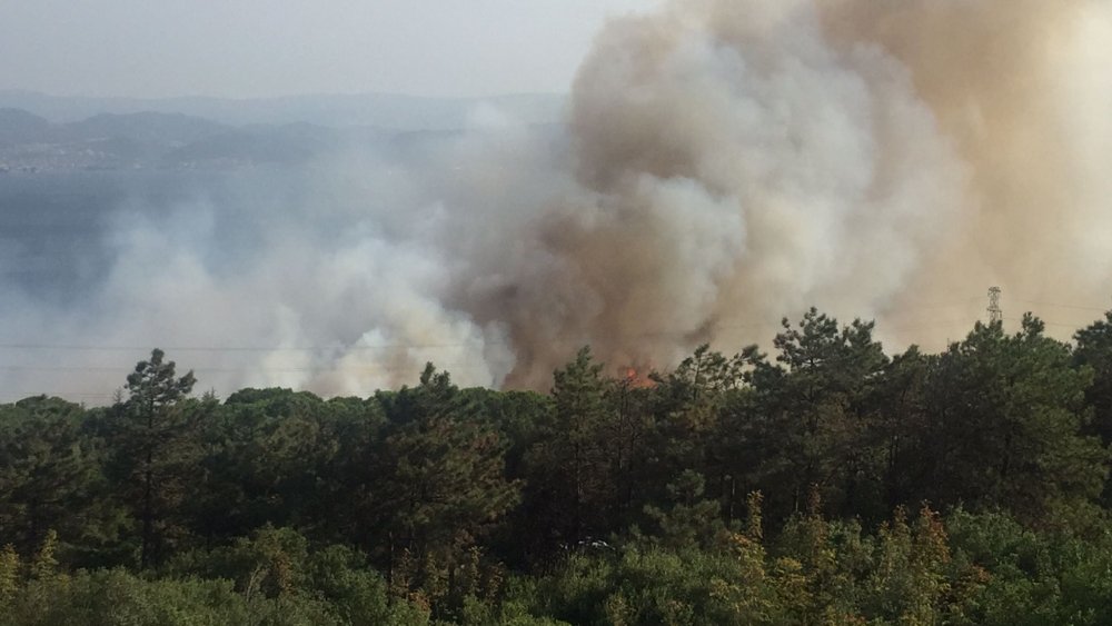 TÜBİTAK yerleşkesinde orman yangını: Dumanlar kilometrelerce uzaklıktan görüldü