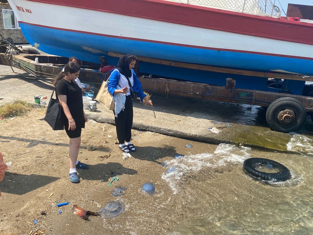 Turistik ilçede denizanası istilası: Plajlar boş kaldı