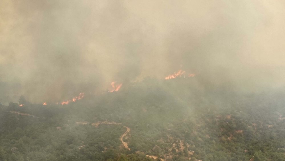 Çanakkale'de orman yangını yayıldı: Köy boşaltıldı, yol ulaşıma kapatıldı