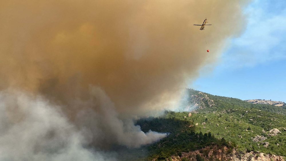 Çanakkale'de orman yangını yayıldı: Köy boşaltıldı, yol ulaşıma kapatıldı