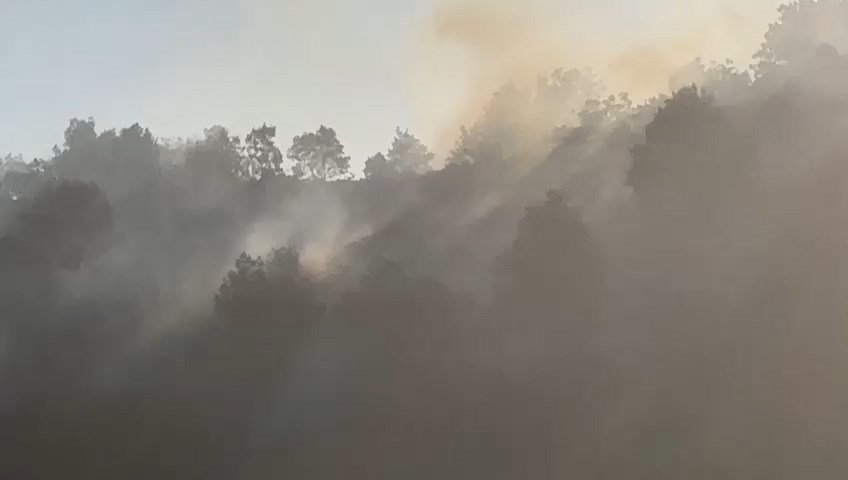 Diyarbakır’da orman yangını