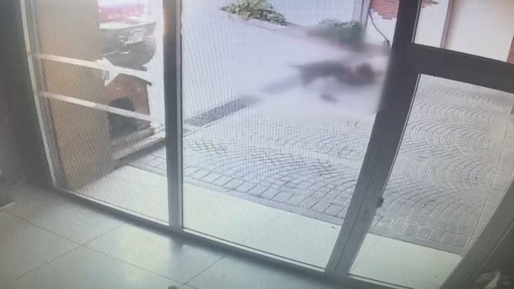 Bakırköy'deki Pitbull saldırısı: Sahipleri yakalandı