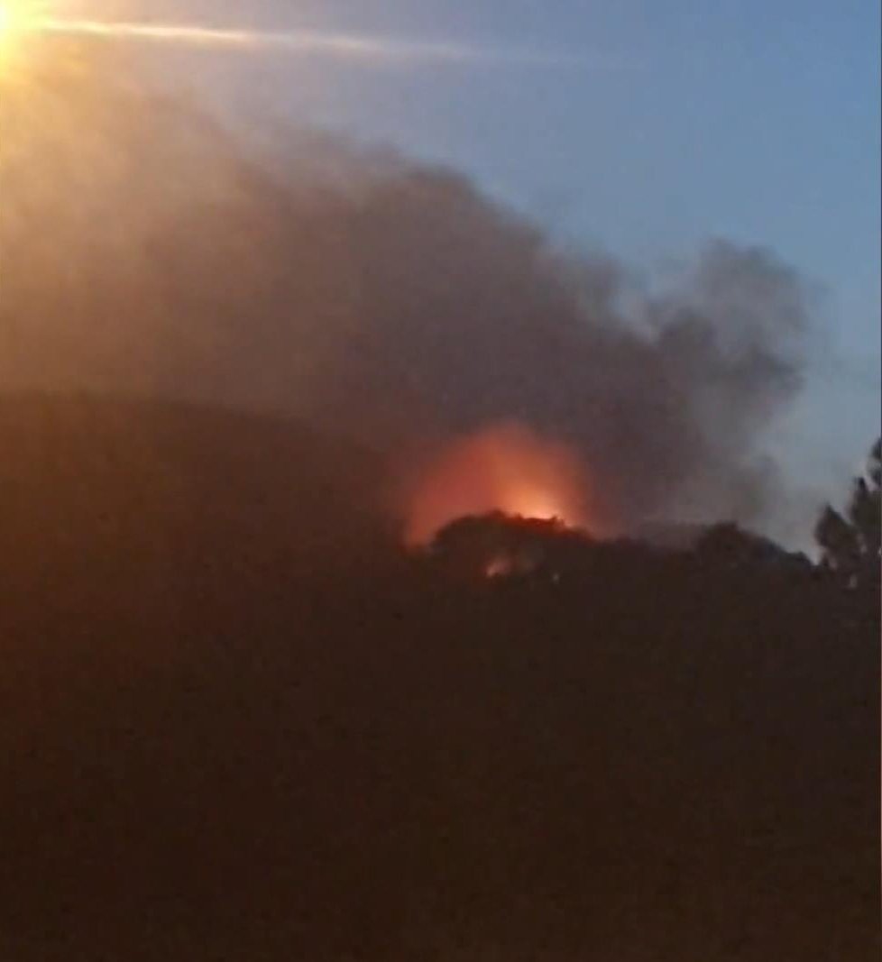 Maltepe'de orman yangını