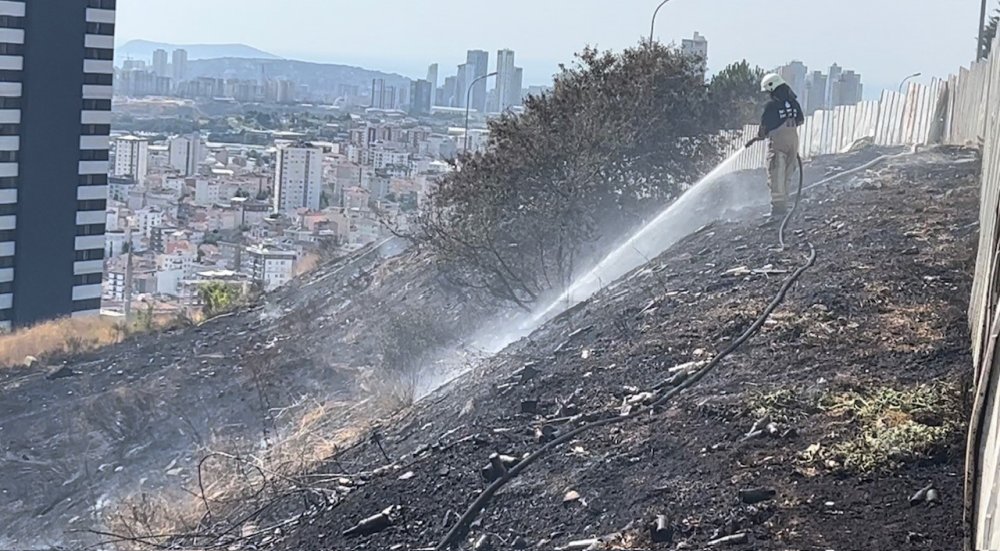 İstanbul'da otluk alanda yangın