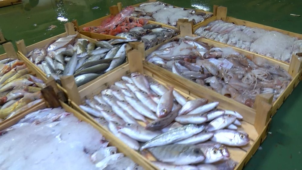 Av yasağı bitti, balıkçılar "Vira Bilmillah" dedi