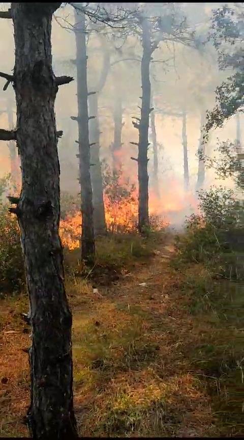 Kent Ormanı'nda yangın!