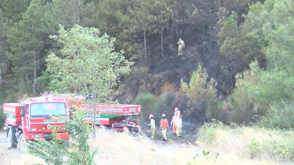 Ormanlık alandaki yangın helikopterle söndürüldü