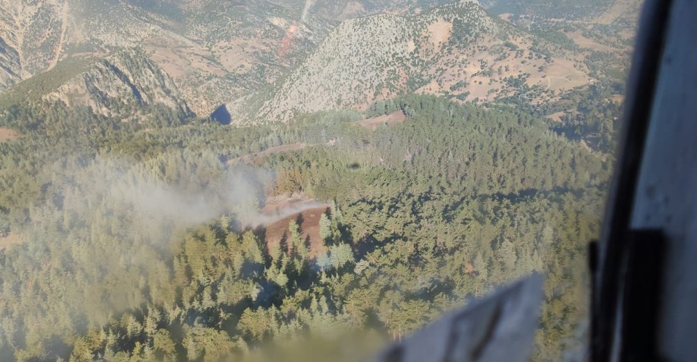 Adana'da orman yangını: Müdahale sürüyor