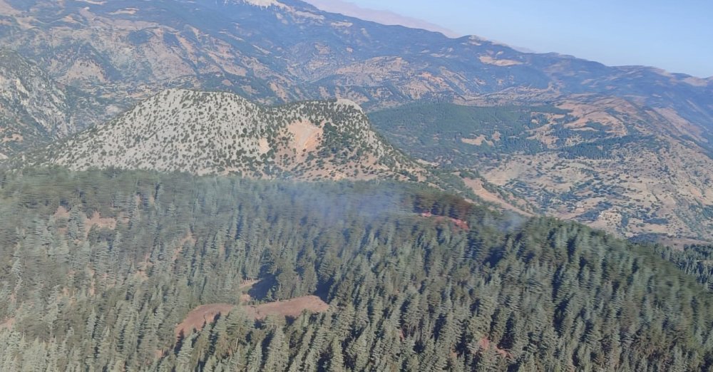 Adana'da orman yangını: Müdahale sürüyor