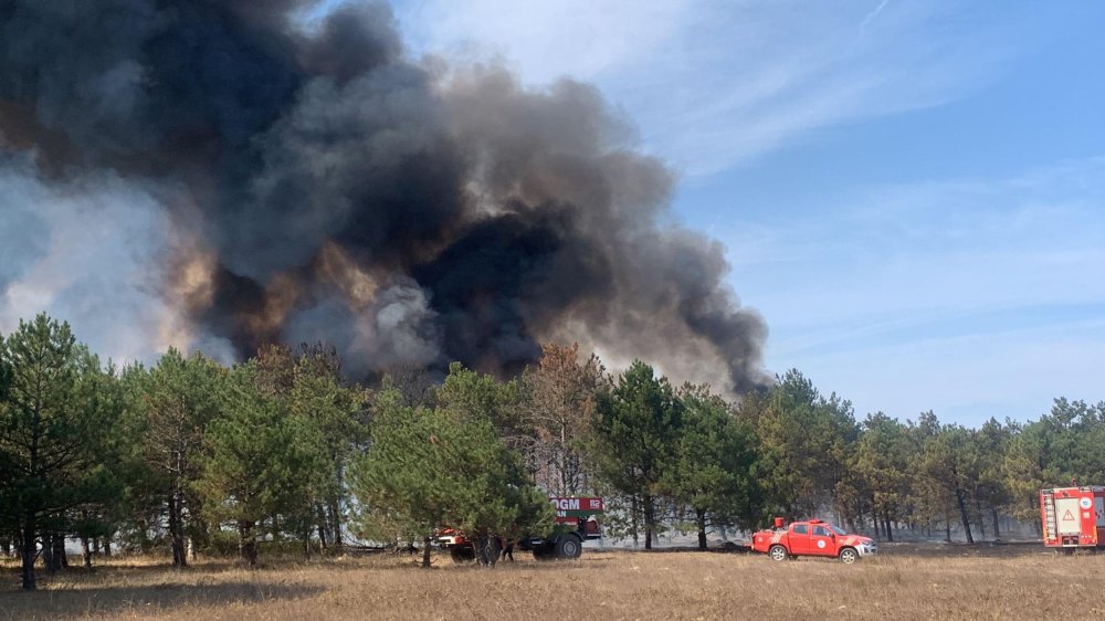Çerkezköy'de orman yangını: Alevlere müdahale ediliyor