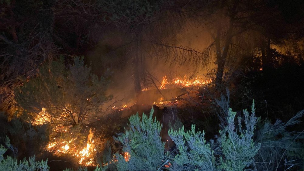 İstanbul'da orman yangını: Müdahale sürüyor
