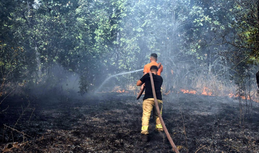 Edirne'de orman yangını: Müdahale sürüyor