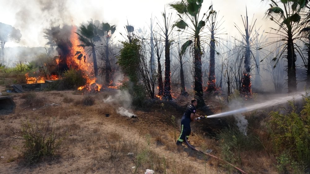 Antalya'da otluk alanda yangın: Teknelere ve ormana sıçradı