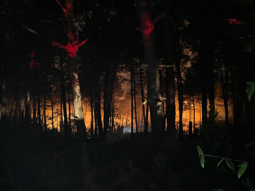 İstanbul'da orman yangını: Müdahale ediliyor