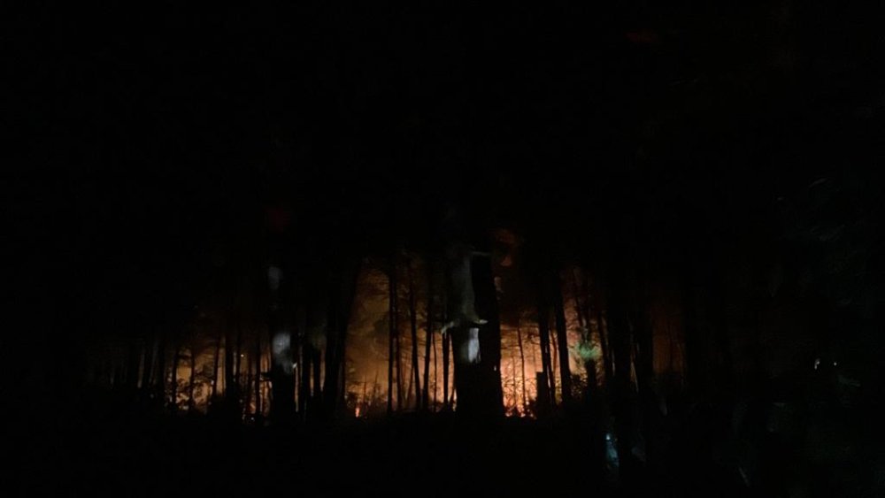 İstanbul'da orman yangını: Müdahale ediliyor