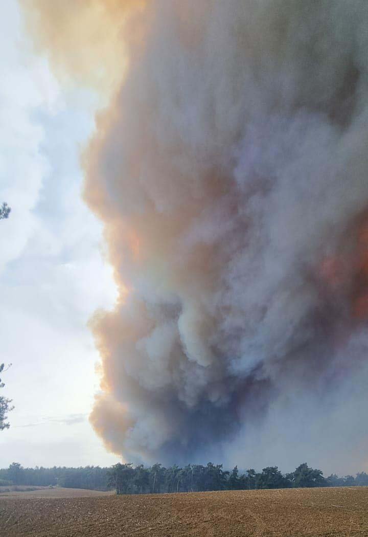 Çanakkale'de orman yangını: Karadan müdahale ediliyor
