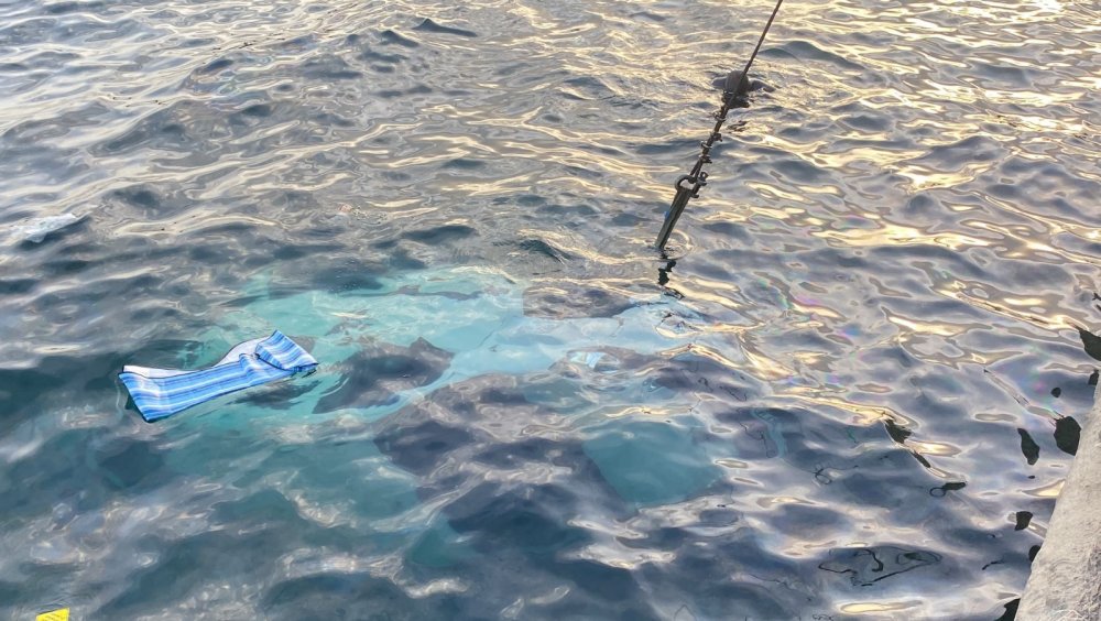 Denize düşen aracın sürücüsünü balık tutanlar kurtardı