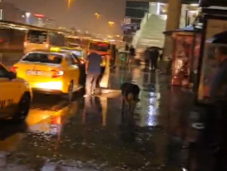 Yağıştan kaçan köpek taksiye sığındı