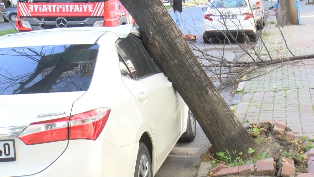 Ağacın altında kalan otomobil halatla kurtarıldı