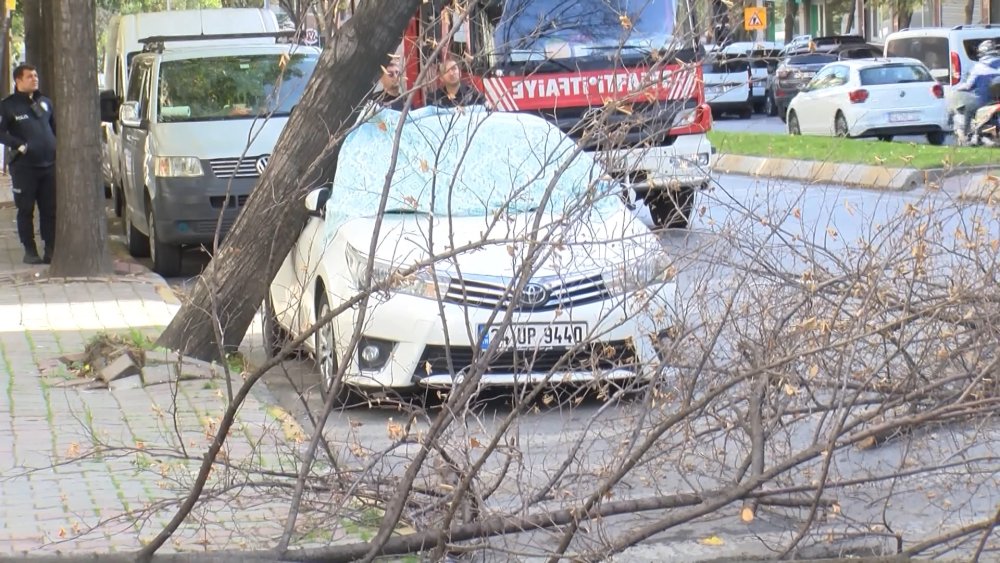 Ağacın altında kalan otomobil halatla kurtarıldı