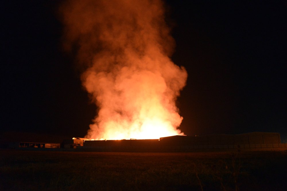 8 saat süren fabrika yangını: Binlerce ton pamuk kül oldu
