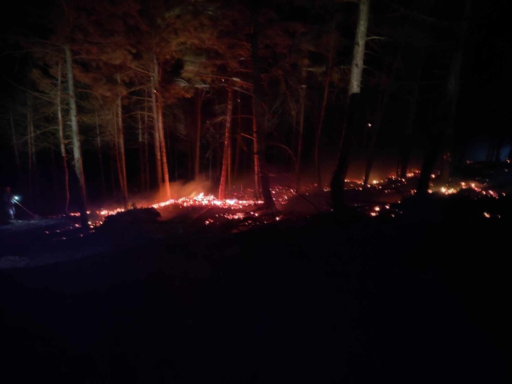 Bolu'da korkutan orman yangını