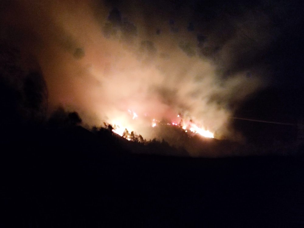 Orman yangınında 2 itfaiye eri dumandan etkilendi