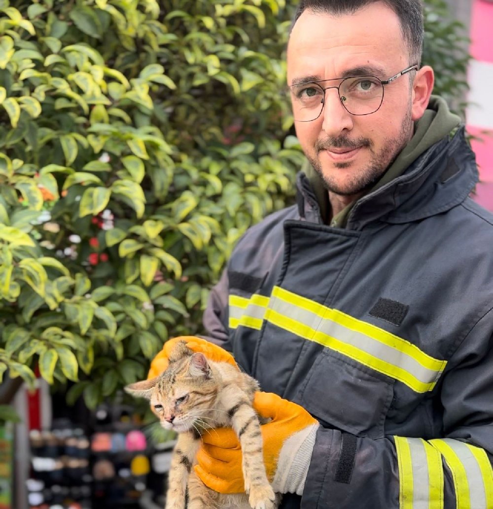 Çatıdaki yavru kediler itfaiye ekipleri tarafından kurtardı