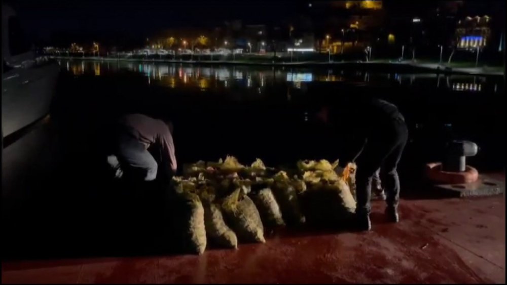 Kaçak avlanan 1.5 ton midye denize döküldü