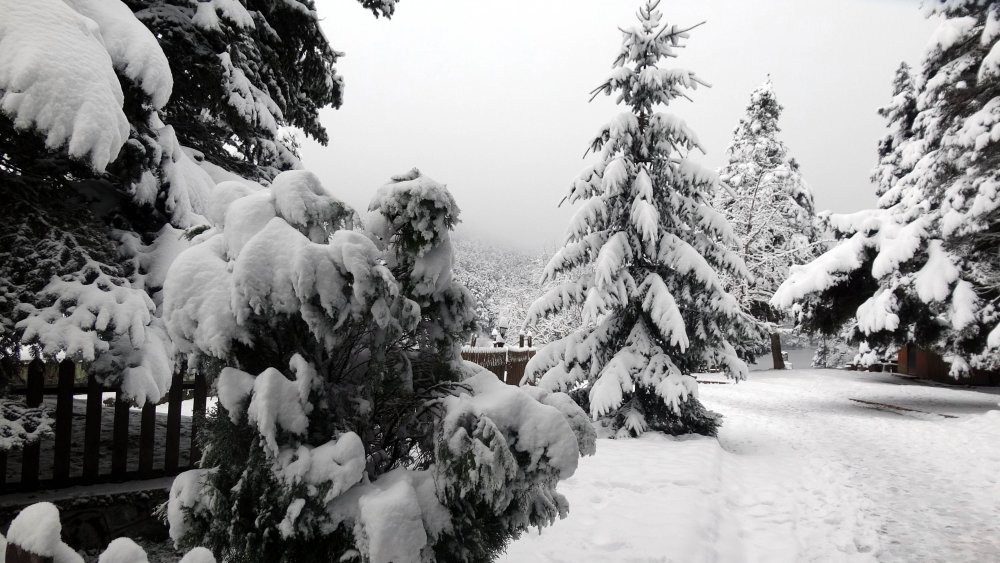Gölcük Tabiat Parkı, karla kaplandı