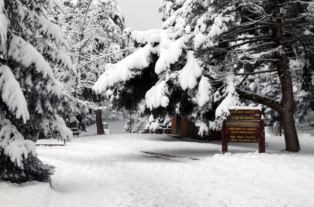 Gölcük Tabiat Parkı, karla kaplandı