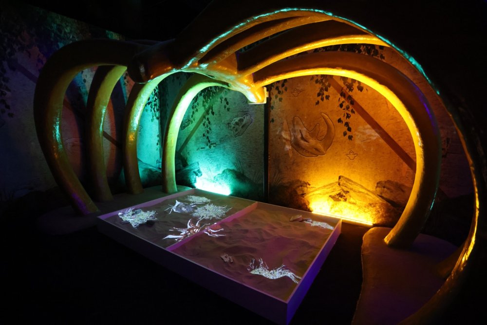 Türkiye’nin 'ilk holografik eğlence parkı' açıldı