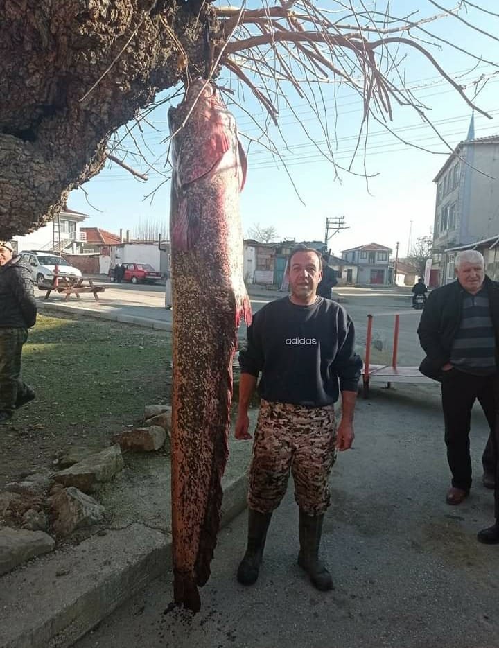 2 metre 30 santimlik yayın balığı yakaladı