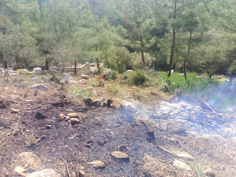 7 dönümlük hazine arazisindeki ağaçları ateşe veren 20 şüpheli gözaltında