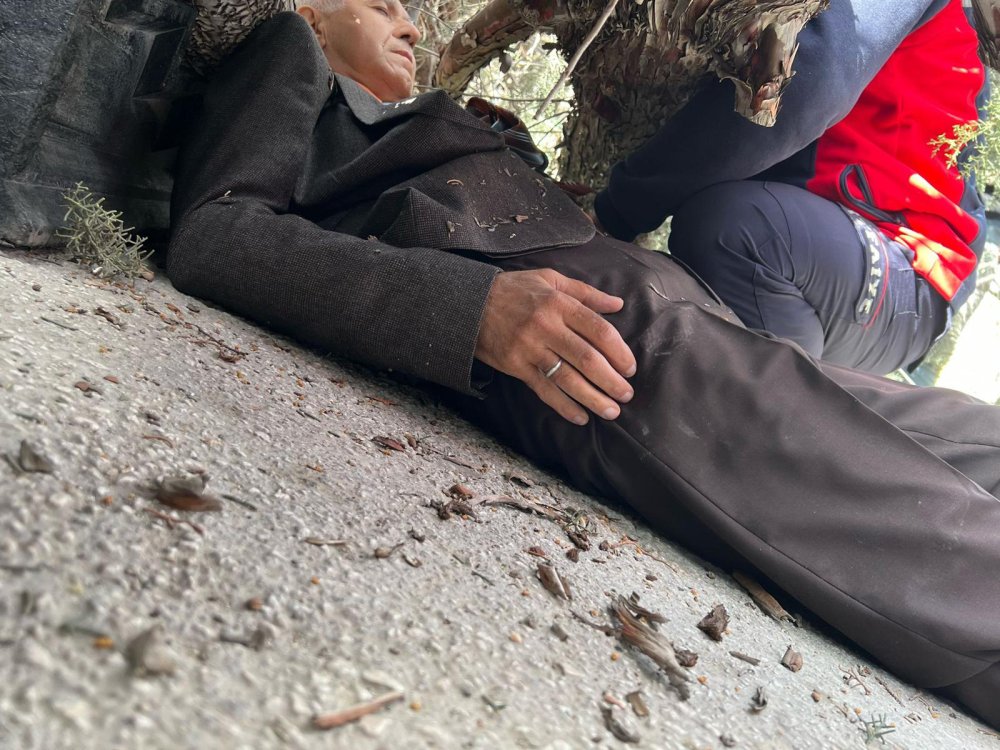 Belediye başkan adayı ve oğlu devrilen ağacın altında kaldı