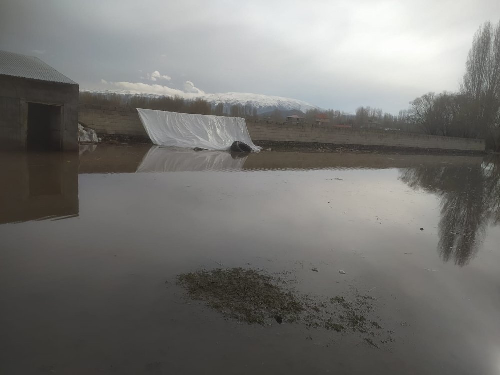 Ağrı'da sel felaketi: Dere taştı, çok sayıda ev su altında kaldı