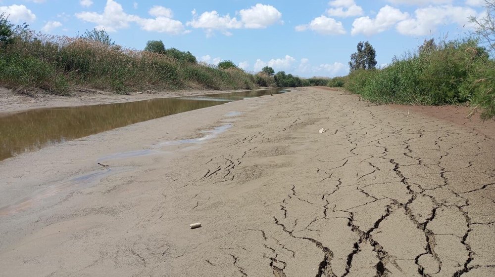 Büyük Menderes'te kuraklık alarmı: Su kıtlığı kapıda