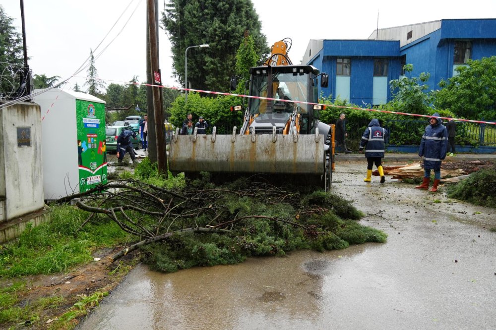 Düzce'de kuvvetli rüzgar ve sağanak: Ağaçlar devrildi, araçlar hasar gördü