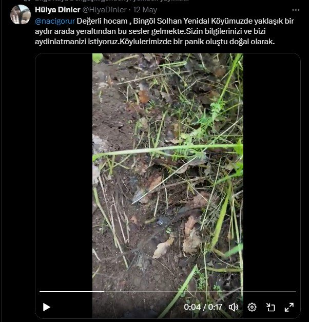 Sosyal medyada dolaşıma girdi, Naci Görür yanıtladı: Bingöl’de yer altından gelen ses büyük depremin habercisi mi?