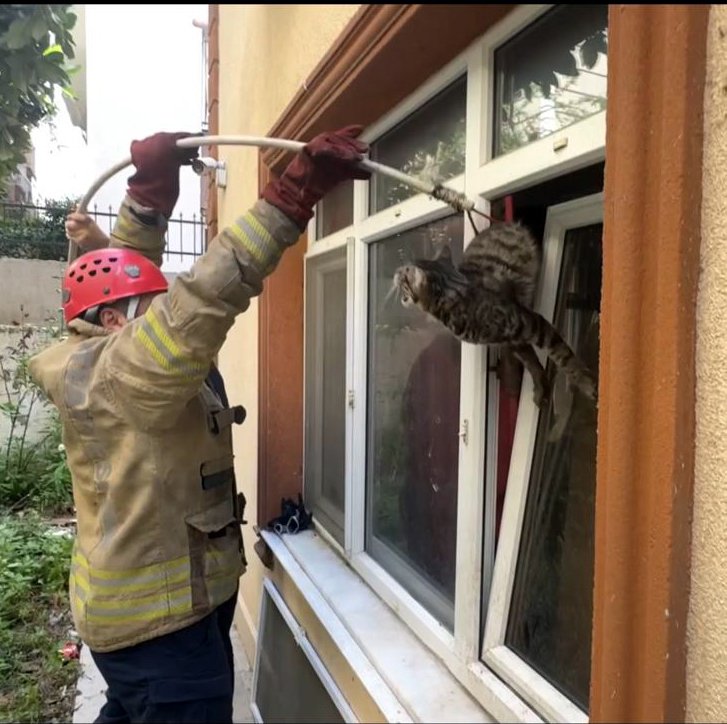Pencerede sıkışan kediyi itfaiye kurtardı