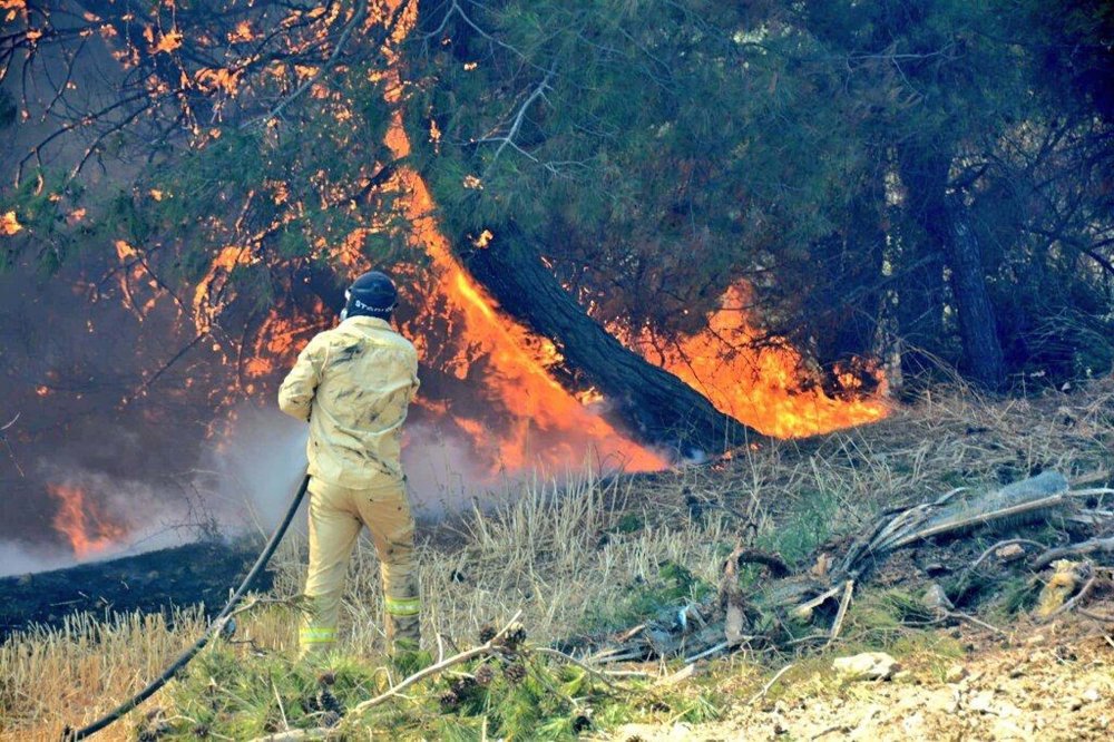 Sıcaklıkların artması nedeniyle orman yangınları ile ilgili valilikten uyarı geldi